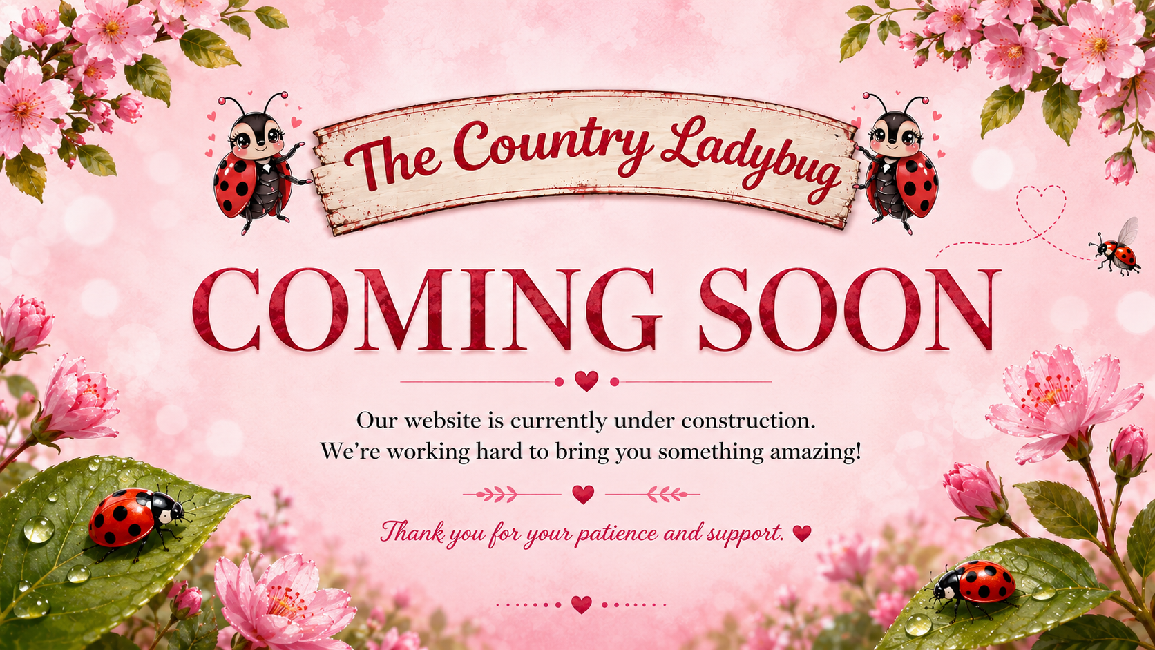 The Country Ladybug - Coming Soon